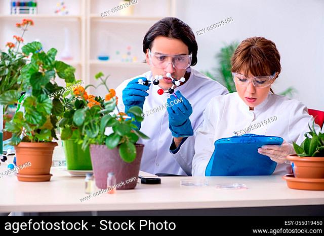 The two young botanist working in the lab
