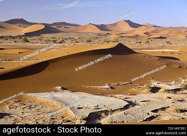 Dunes in Sossusvlei Area, Namib Naukluft Park, Namibia