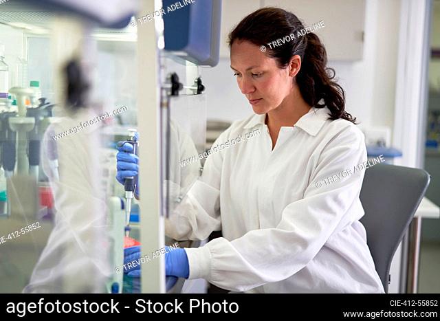 Focused female scientist in lab coat working in laboratory