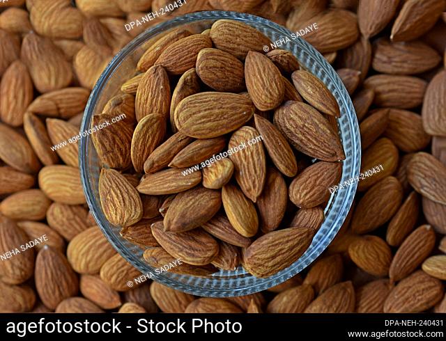 Almonds in bowl, Group of almond nuts isolated on white background. Depth of field