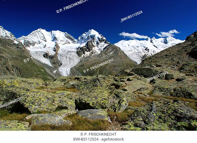 Piz Bernina, 4049 m, Biancograt, Piz Roseg, 3937 m, view from Fuorcla Sulej, 2755 m, Grisons, Oberengadin