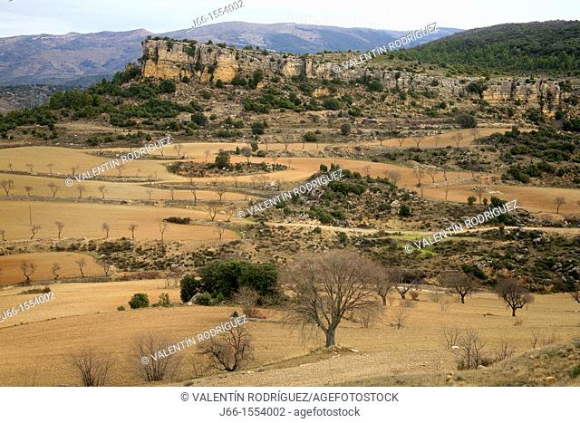 Todolella agricultural landscape in the region of Maestrazgo  Castellón