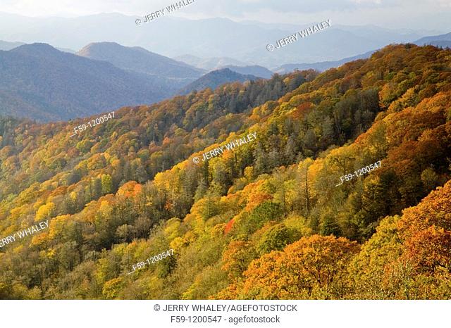 Autumn, Great Smoky Mountains National Park