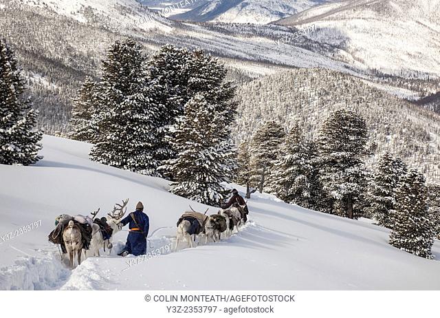 Tsataan reindeer herders, winter in Taiga forest, Hunkher mountains, northern Mongolia