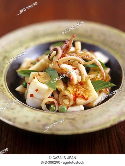 Stir-fried squid with chilli Thailand