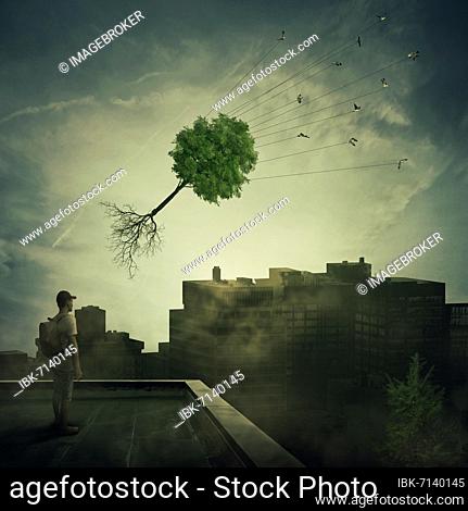 Surreal view as a boy stand on the rooftop looking at a flock of birds carrying a tree pulled from roots, flying over the polluted, foggy city