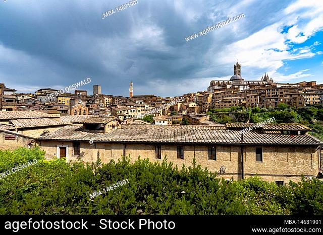 Above the rooftops of Siena, Tuscany, Italy