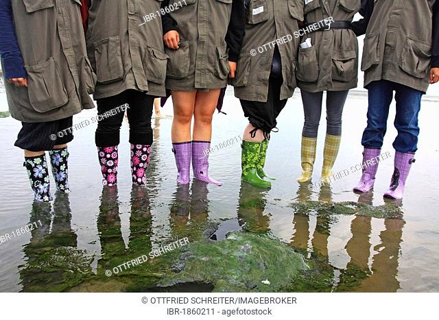 Colourful rubber boots during a Watt exploration with a group of students, Hallig Hooge, Northern Friesland, North Sea, Wadden Sea, Schleswig-Holstein, Germany