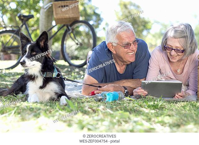 Senior couple with dog lying on blanket on a meadow using digital tablet