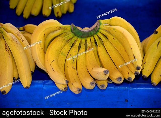 banane, bananen, bauernmarkt, wochenmarkt, obst, frucht, früchte, gelb, obst, obstbau, landwirtschaft, markt, obsthandel, obstgeschäft