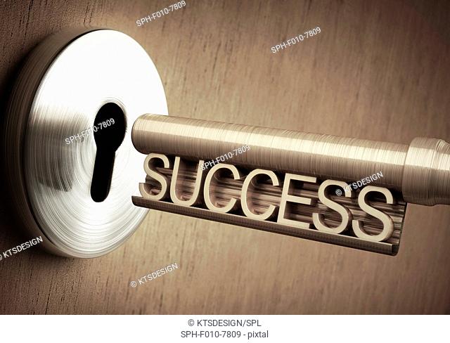 The key to success, conceptual illustration
