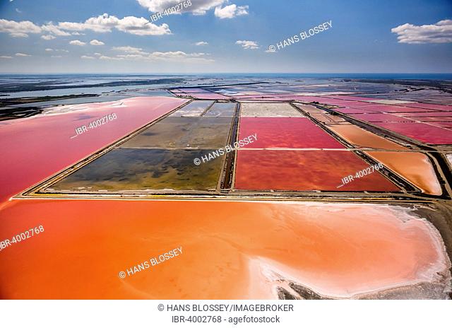 Aerial view, salt pans, red salt marshes for salt production, Aigues-Mortes, Camargue, Languedoc-Roussillon, South of France, France