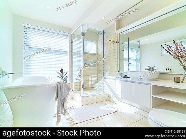 Sunny bright white home showcase interior bathroom