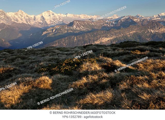 alpine landscape with Eiger, Mönch and Jungfrau, Bernese Oberland, Switzerland