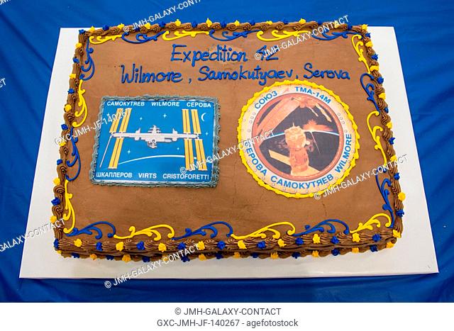 A cake bearing the names of Expedition 42 crew members is pictured during an Expedition 4243 cake-cutting ceremony in the Jake Garn Simulation and Training...