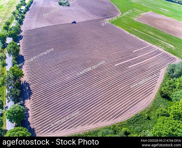 27 May 2020, Mecklenburg-Western Pomerania, Rattey: Using a special machine, employees of a vineyard school in Rhineland-Palatinate bring vines into the soil of...