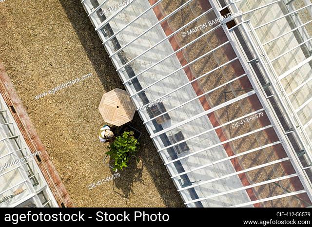 View from above garden shop owner with plants outside greenhouse