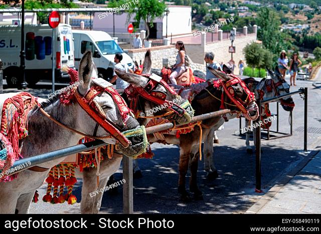 MIJAS, ANDALUCIA/SPAIN - JULY 3 : Donkey Taxi in Mijas Andalucía Spain on July 3, 2017. Unidentified people