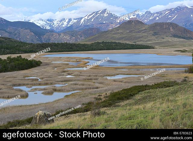 Laguna with marsh grass, Patagonia National Park, Chacabuco valley near Cochrane, Aysen Region, Patagonia, Chile, South America