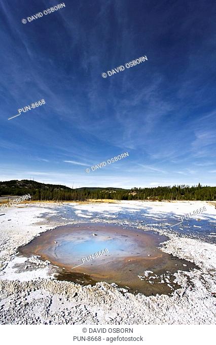 Norris Basin's Pearl geyser in Yellowstone National Park