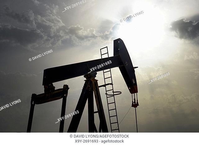 Pumpjack aka oil horse, nodding donkey, oil jack, beam pump raises crude oil in the Bahrain desert at Sakhir on the Persian Gulf