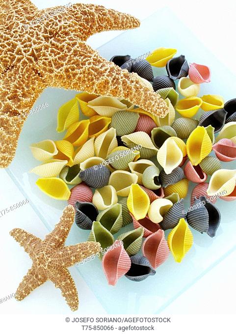 Sicilian pasta shells