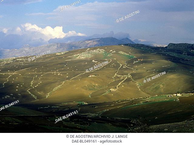 Landscape with farms near Piana degli Albanesi, Sicily, Italy