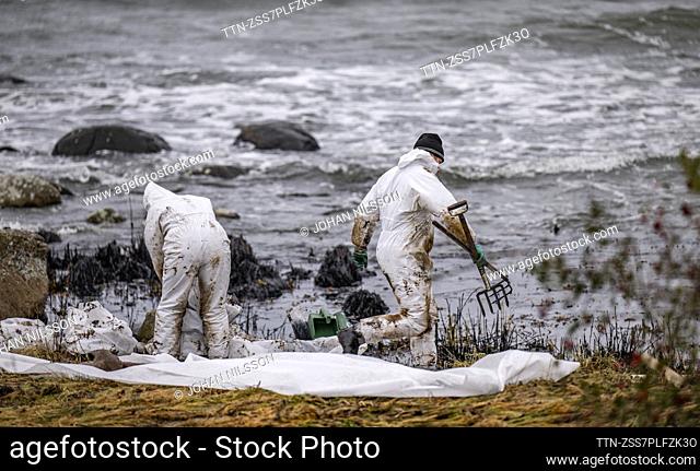 FILE PICTURE DATED 26 OCT, 2023. Personnel from the Coast Guard work on cleanup after the oil leak from the grounded ferry Marco Polo on the coast of Horvik