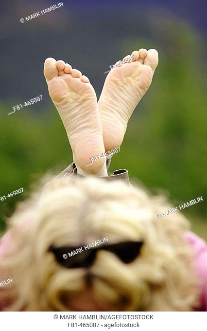 Woman (aged 35-45 years old) realxing, close-up of bare feet. UK. July 2005