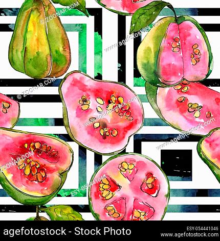 Exotic guava healthy food pattern in a watercolor style. Full name of the fruit: guava. Aquarelle wild fruit for background, texture, wrapper pattern or menu