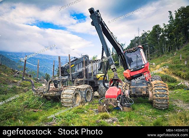Italy, Veneto, provnce of Belluno, Dolomites. Harvester and Forwarder forestry vehicle in a forest hit by the storm Vaia