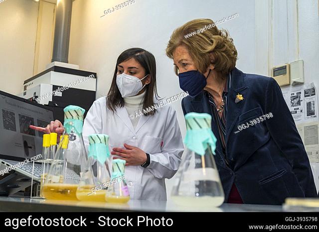 The former Queen Sofia visits the projects of the CSIC's Margarita Salas Biological Research Centre on January 31, 2022 in Madrid, Spain