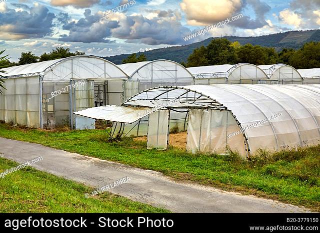 Greenhouse, Institute for Agricultural Research and Development and the Natural Environment, Basque Country, Spain, Europe