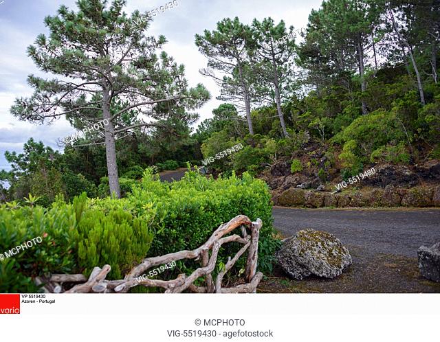 Parque Florestal da Prainha, Pico, Azoren, Portugal - 05/10/2014