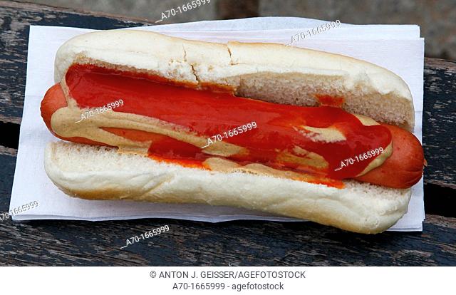 Hot dog , new york , america