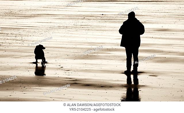 Dog fouling on beach. Redcar, north east England. United Kingdom