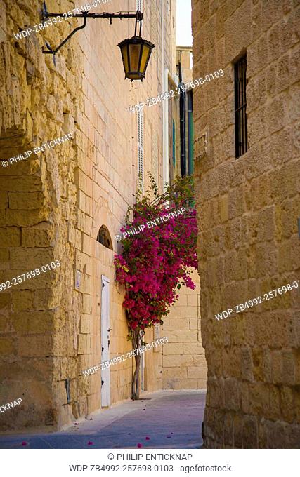 Typical narrow street in the silent city Mdina Malta