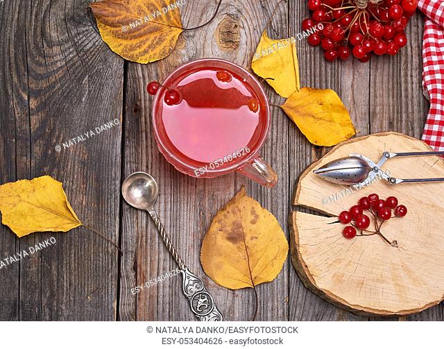 Transparent cup with hot tea from viburnum berries, fresh berries on a gray wooden table, top view