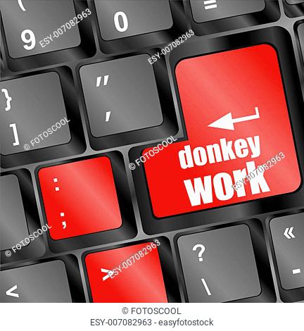 donkey work button on computer keyboard key