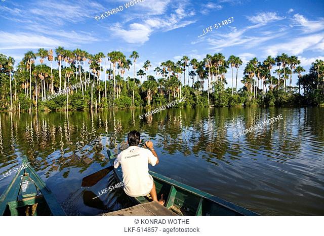 Boat and Mauriti Palm Trees, Buriti, Moriche Palms, at Sandoval Lake, Mauritia flexuosa, Tambopata National Reserve, Peru, South America