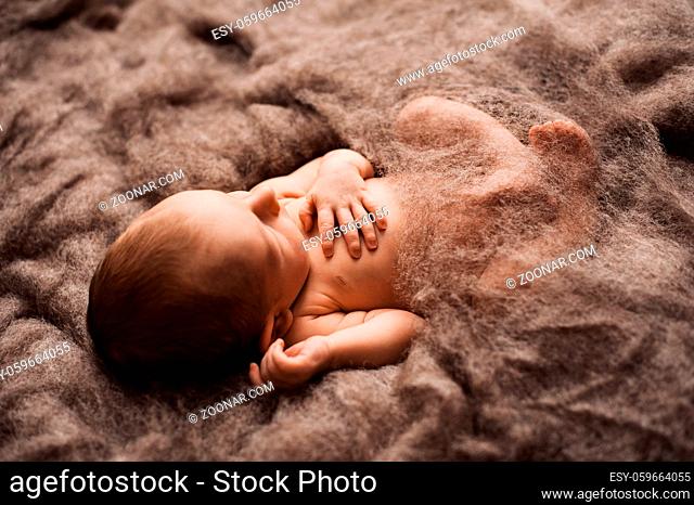 Newborn baby asleep on a grey wool blanket at a newborn photoshoot. High quality photo