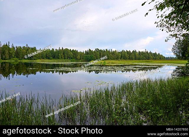 Lake, forest, clouds, summer, Eldmörjan, Hunneberg, Vargön, Västra Götalands län, Vastra Gotaland, Sweden