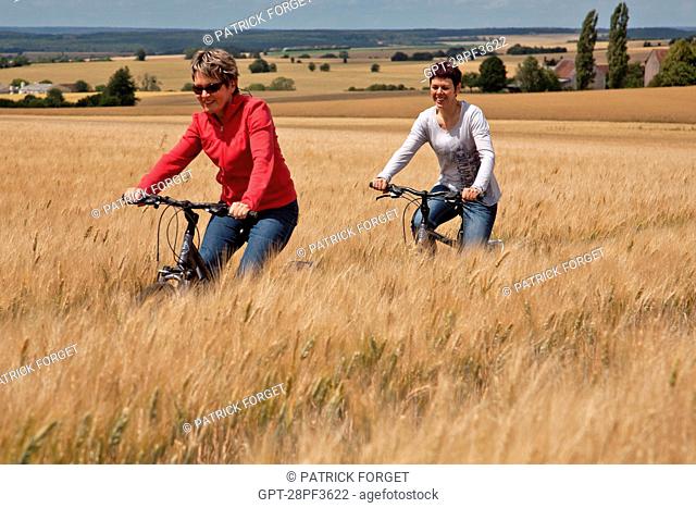 BICYCLE TOURISTS CYCLING THROUGH A WHEAT FIELD IN THE PERCHE, EURE-ET-LOIR 28, FRANCE