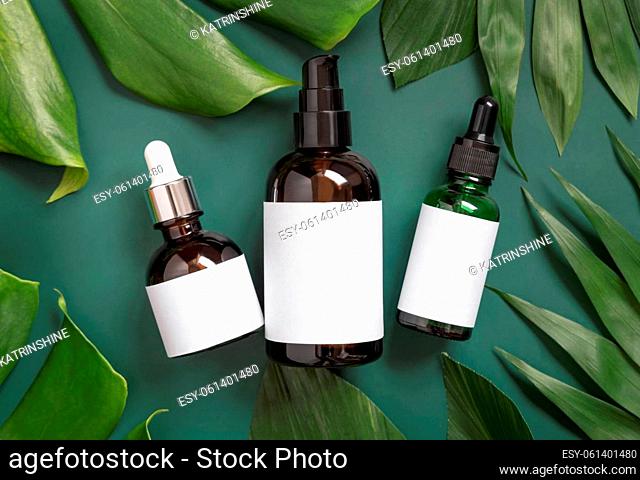 Dropper and one pump Glass Bottles between monstera leaves on green table top view. Brand packaging mockup. Natural cosmetics- Aromatic oil