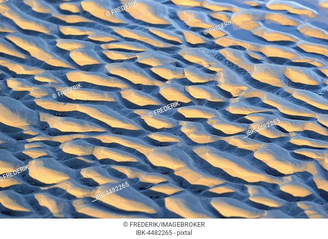 Wave-like structures, ripples in the sand at low tide, St. Peter-Ording, Schleswig-Holstein Wadden Sea National Park, North Frisia, Schleswig-Holstein, Germany