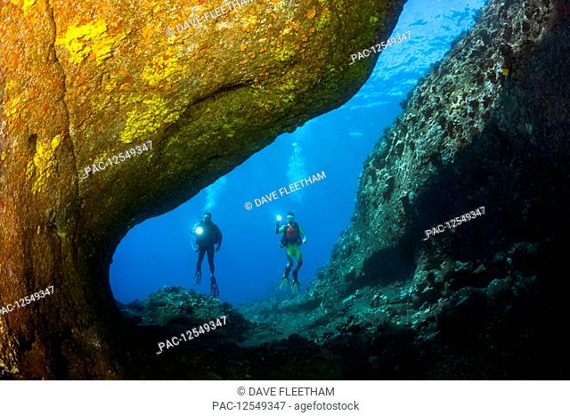 Divers enter a canyon coloured by encrusting sponge off the backside of Lanai near Kaumalapau Harbor; Lanai, Hawaii United States of America