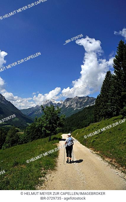 Berchtesgaden Alps with hikers, trail to the dead man behind the Reiteralpe Berchtesgaden Alps with a hiker walking along a hiking trail to Toter Mann Mountain