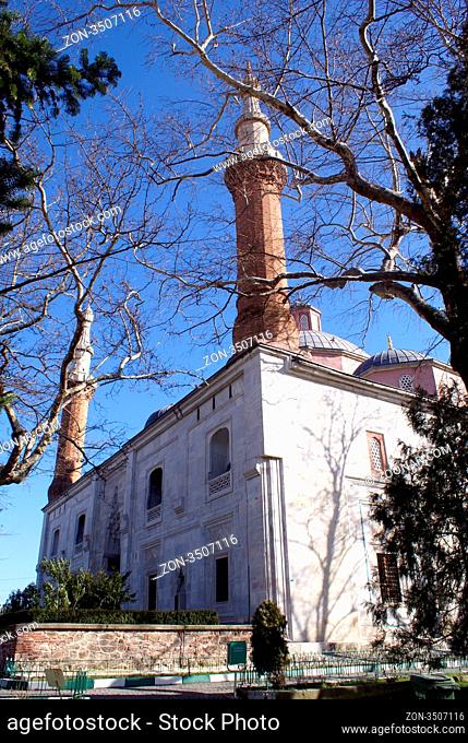 Mosque Yeshil Jami and big tree in Bursa, Turkey