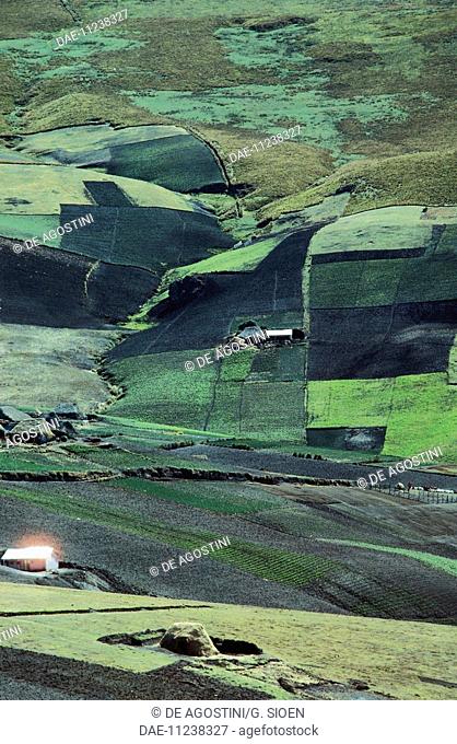 Cultivated fields and rural buildings, Cotopaxi Province, Andes, Chile
