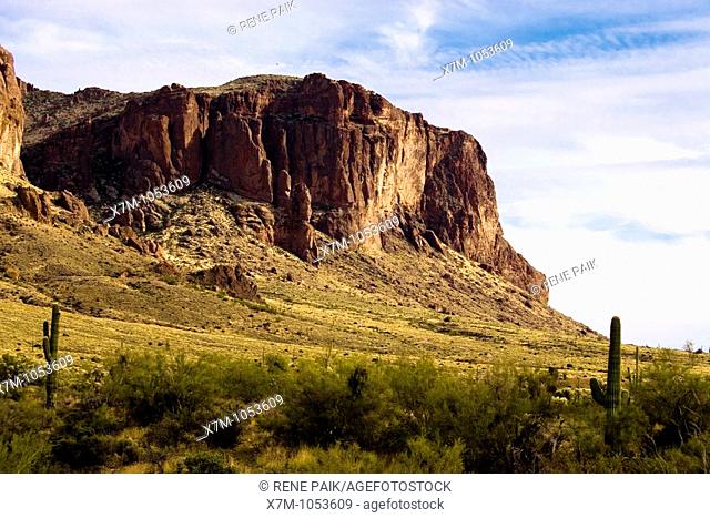 Superstition Mountains in Lost Dutchman State Park near Mesa, Arizona with Saguaro Cacti in foreground  The Superstition Wilderness area is managed by Tonto...